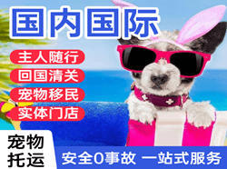 大武空运国际宠物托运 【国